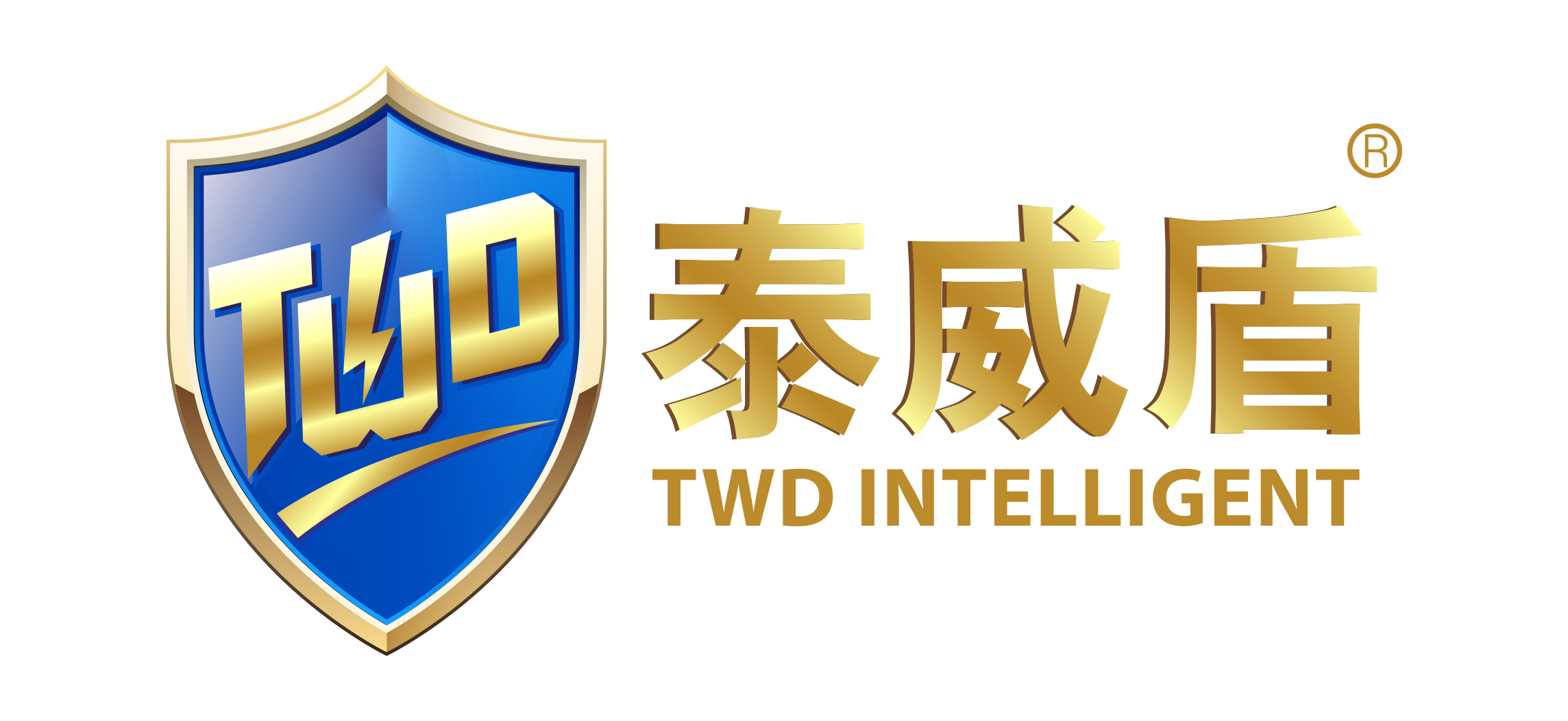 泰威盾蓝版.png